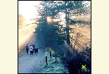 Runners in Ashland Watershed