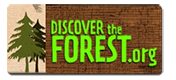 discover-the-forest-image