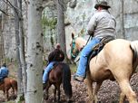 A team of horse riders ride along a sheer stone cliff.