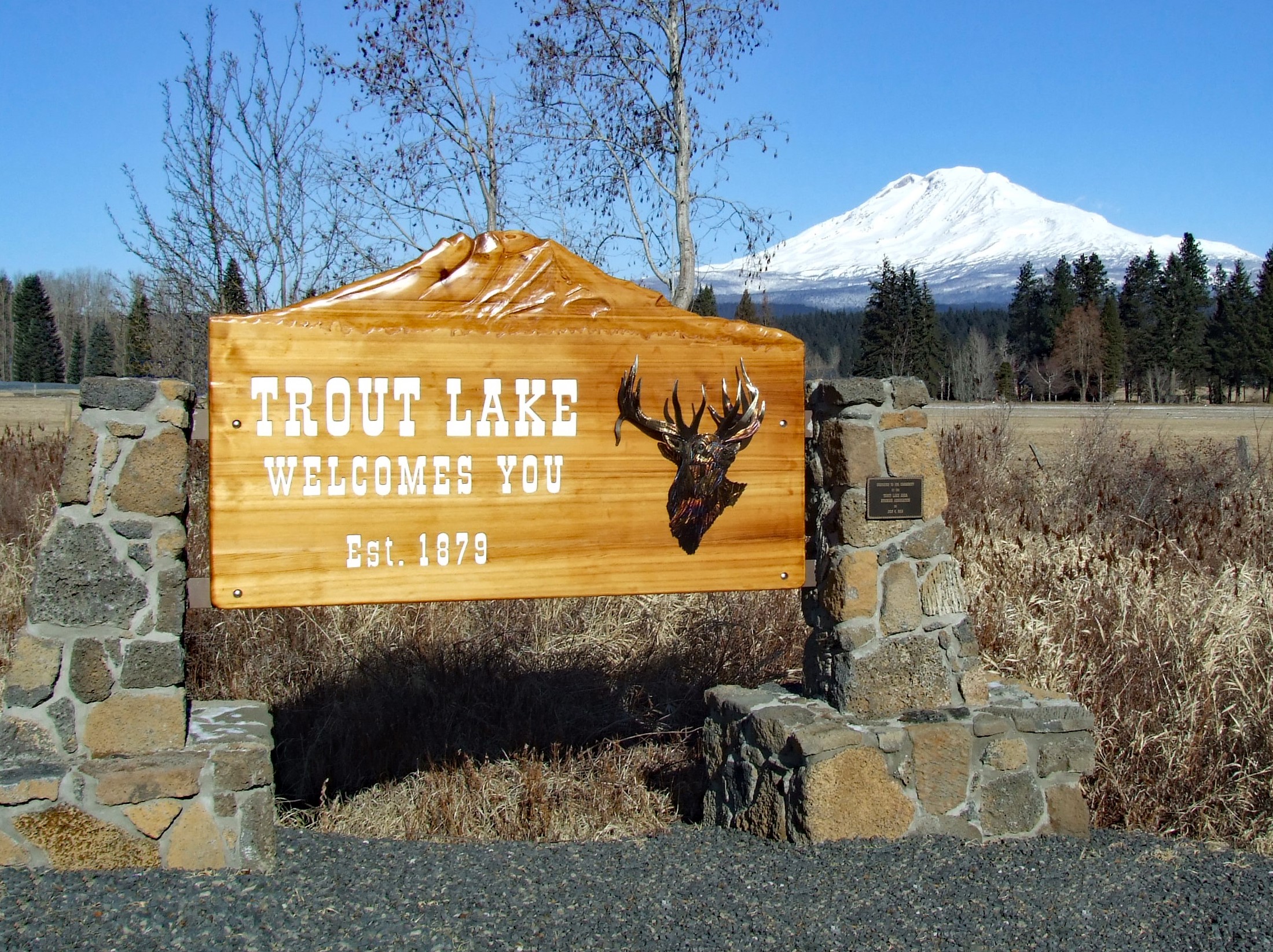 Gifford Pinchot National Forest - Mt. Adams area