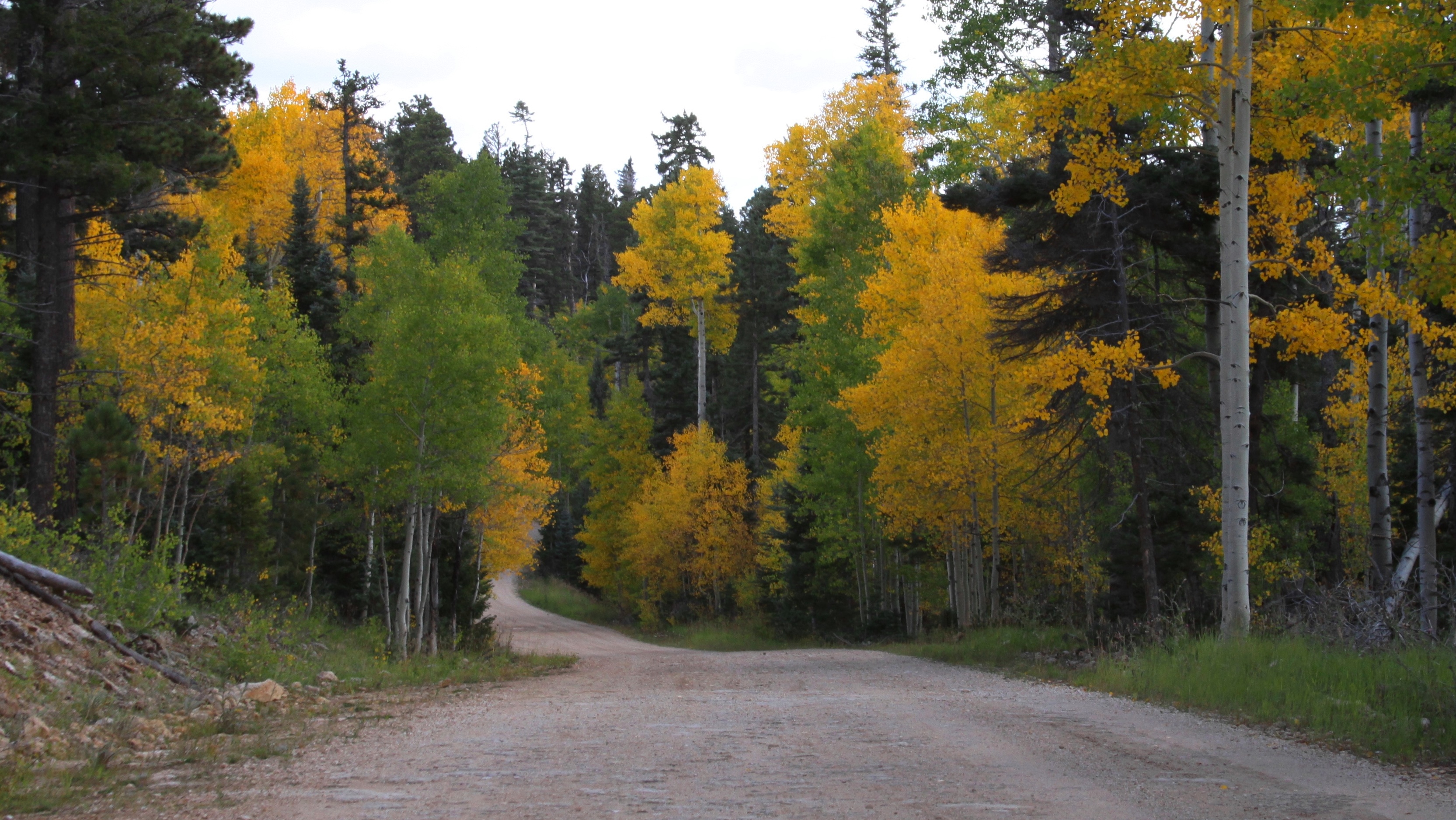 kaibab national forest home