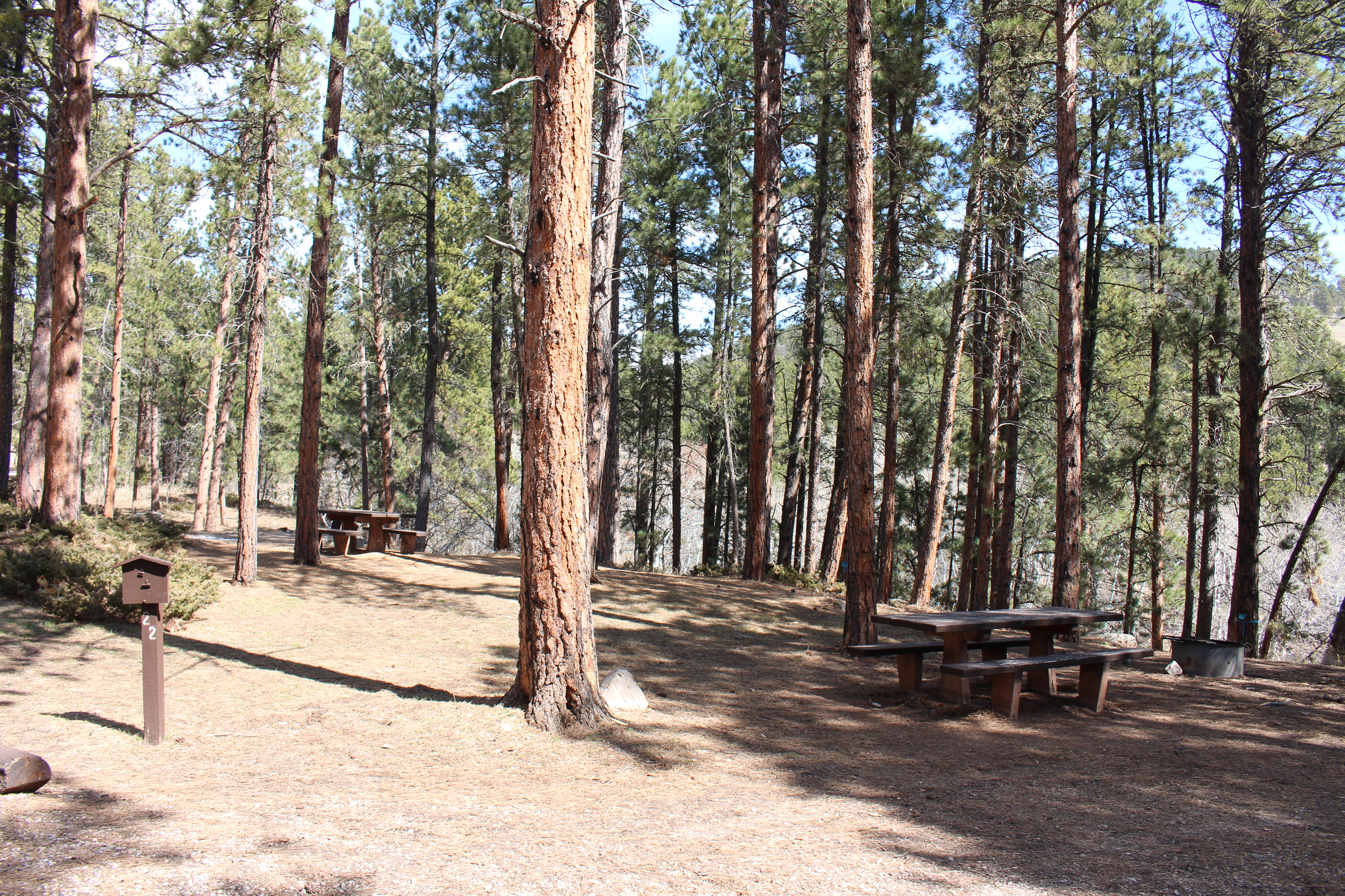 reuter campground site