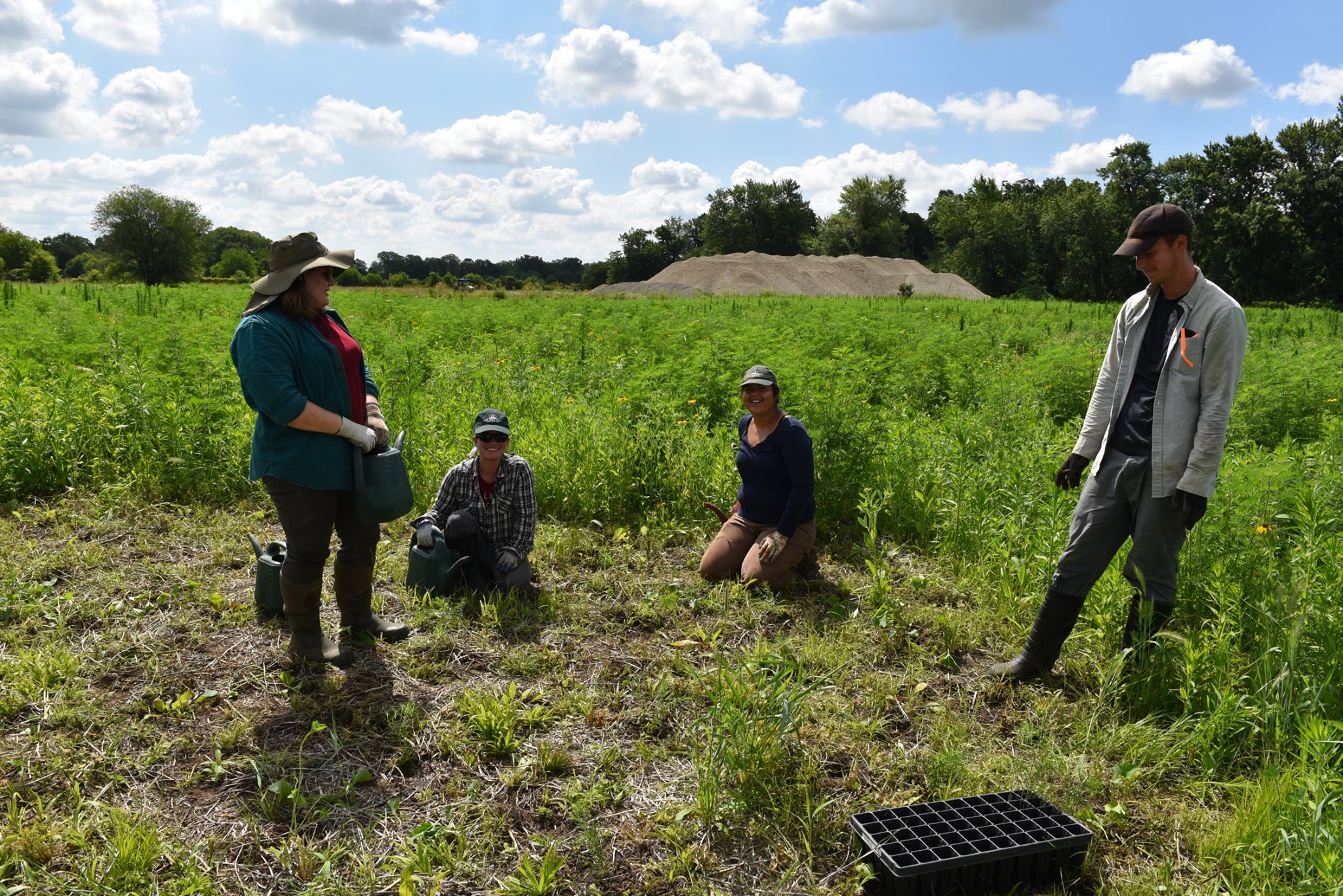 Midewin National Tallgrass Prairie