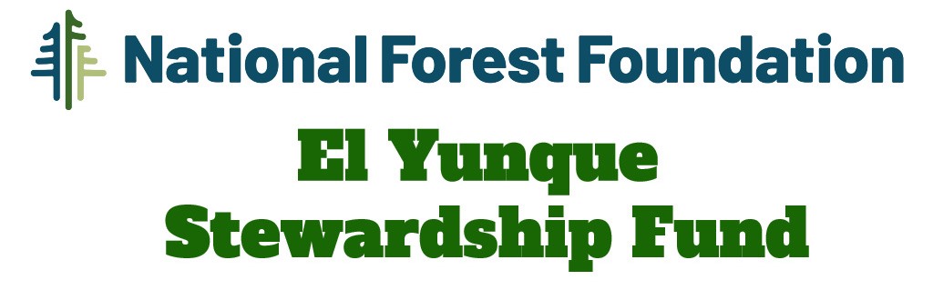 NFF Stewardship Fund
