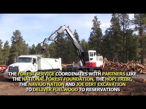 Logs getting loaded into a truck at a fuelwood project site