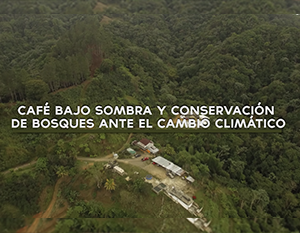 An aerial image of the fields of Puerto Rico