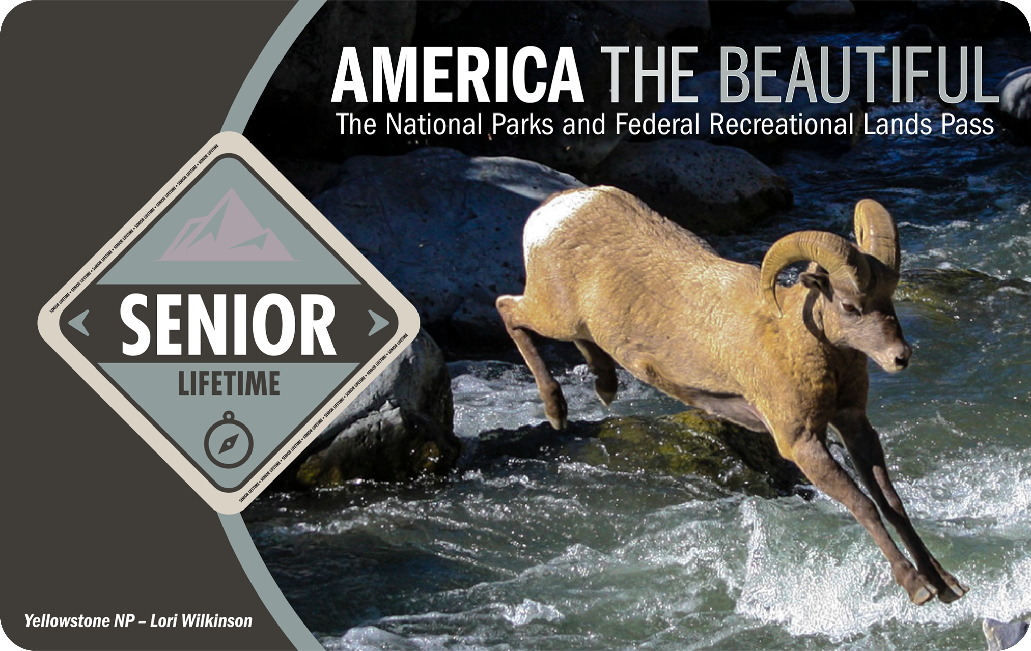 2021 Senior Lifetime Pass