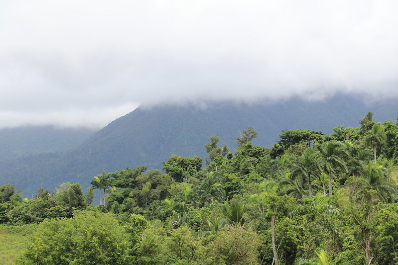 A mountain at the horizon of a green and misty field