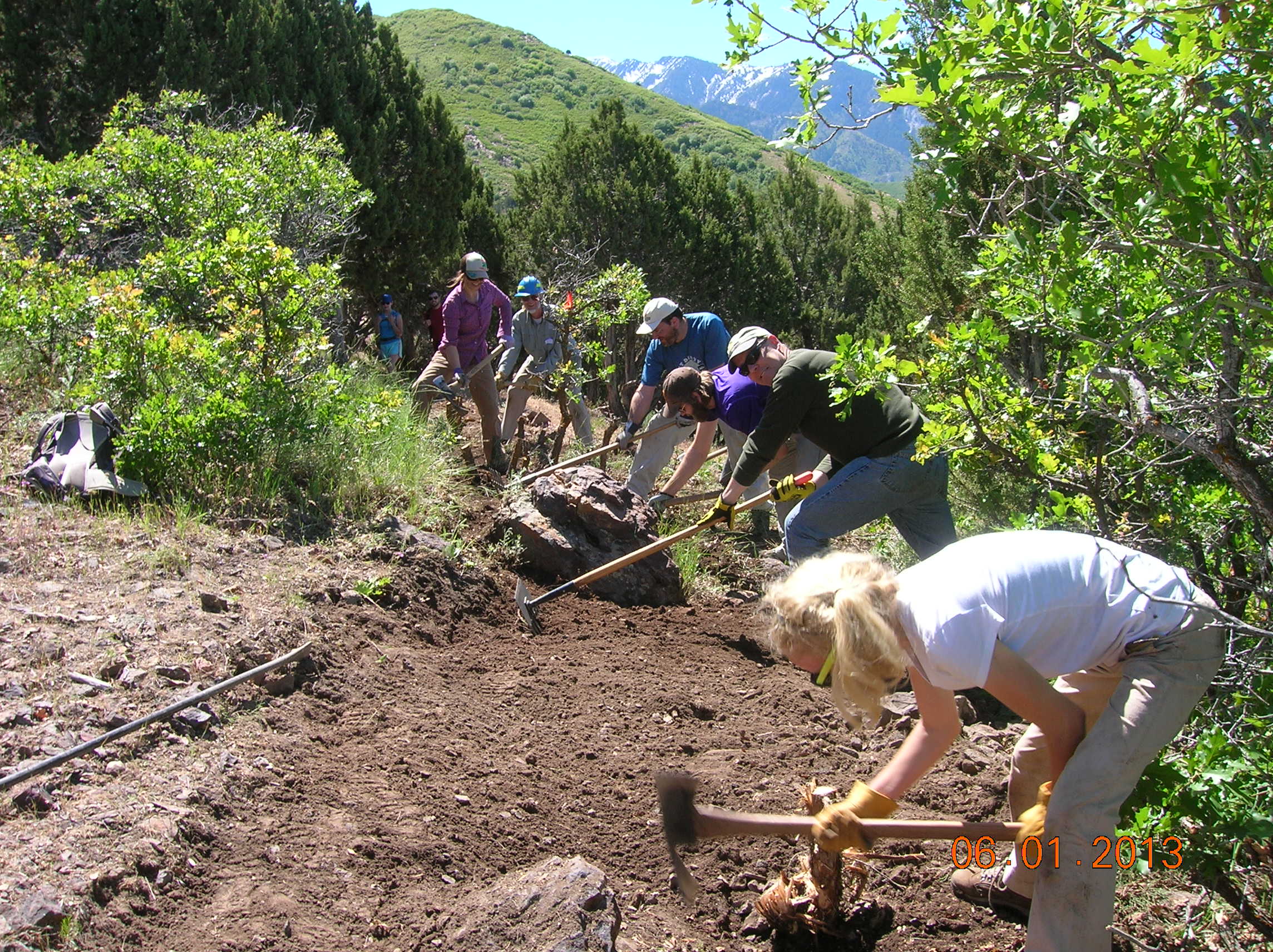 A work crew uses pulaskis while building trail on the forest.