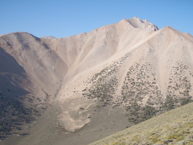 Boundary Peak Trail : 405 Photos - Nevada, Randonnée