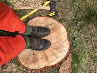Boots on a tree stump