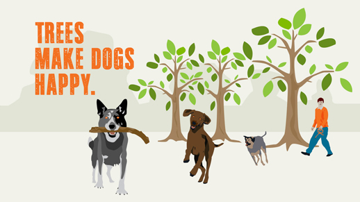 Illustration of 3 dogs running, one with a stick in its mouth, in the background is a human & trees