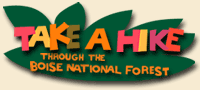 Take A Hike Through the Boise National Forest