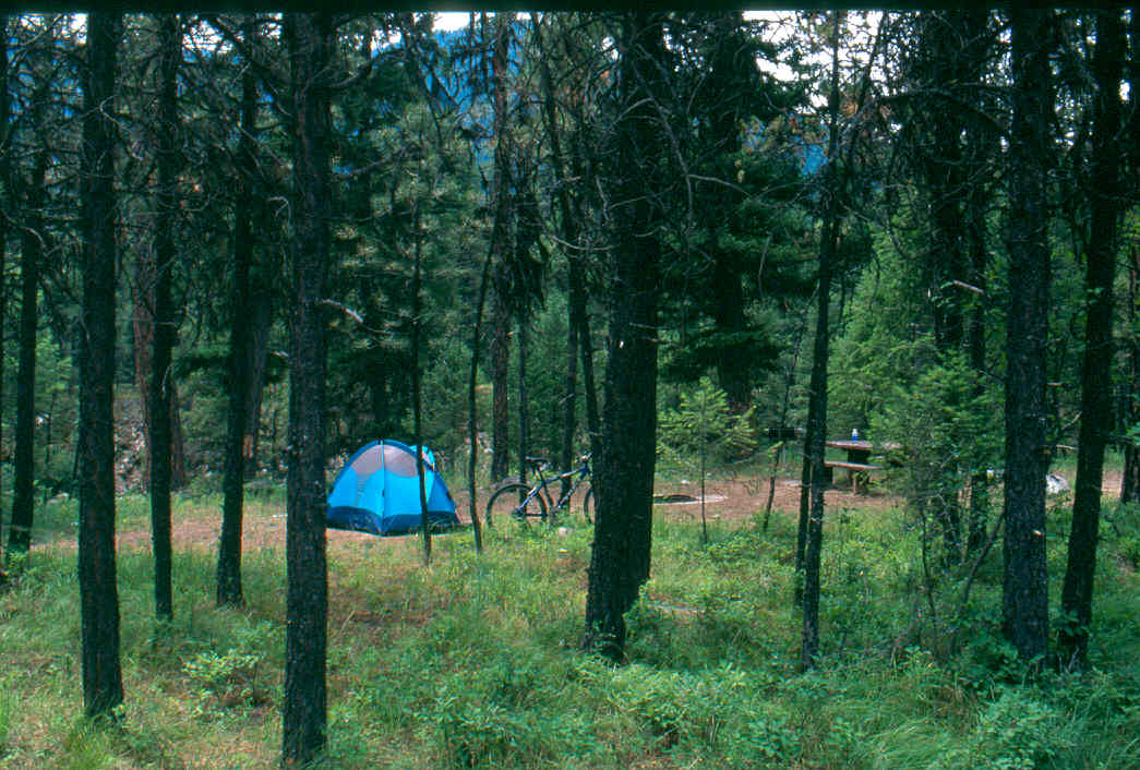 Yellow Pine Campground