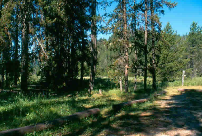 Bear Valley Campground