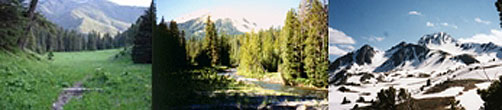 Group of three photos of wilderness landscapes including mountains, water, and trees.