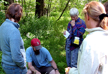 Teachers learn about forest ecosystems at the Forest for Every Classroom teacher training institute.