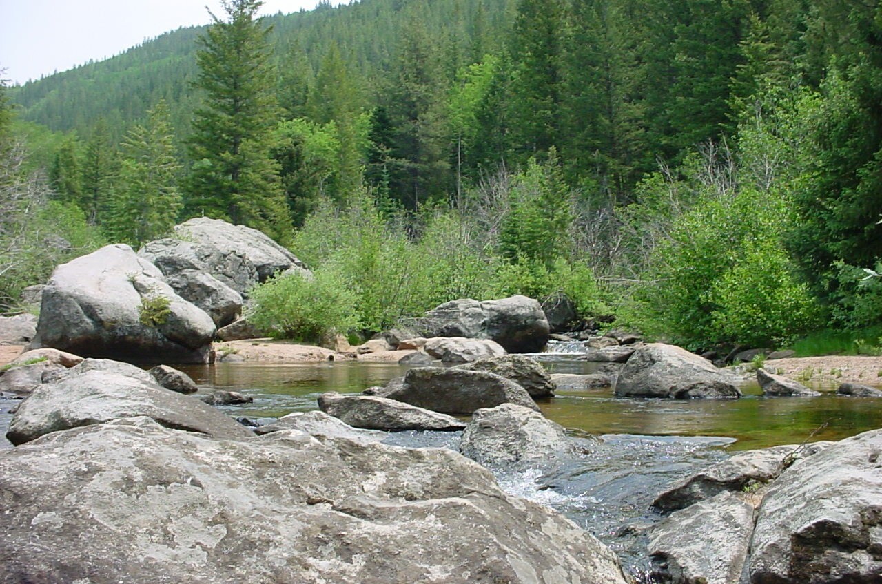 Wilderness