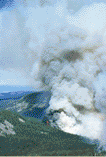 Wildland Fire Activity