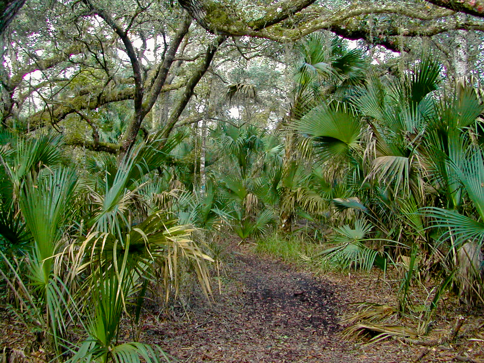 Along the St. Francis Trail