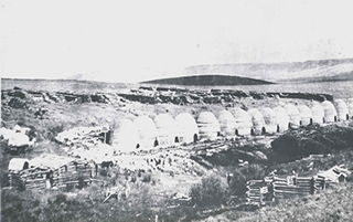 Picture taken somtime in 1880s of the original 16 kilns