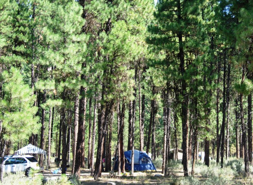 Boise National Forest Camping Cabins Campground Camping