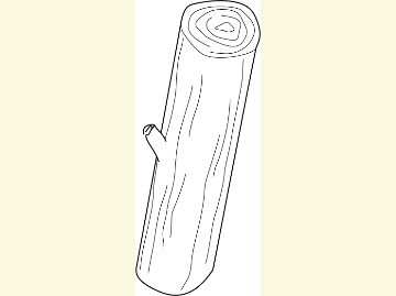 logging coloring pages