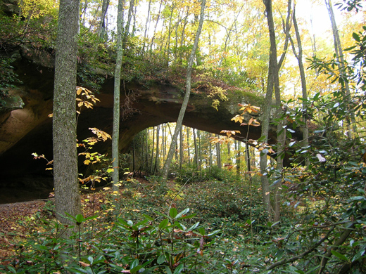 Image of stone arch in late summer, early fall.