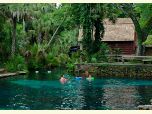 Juniper Springs