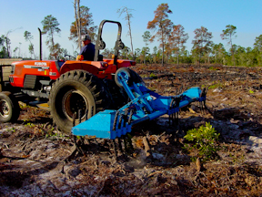 Re-seeding the understory