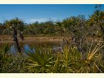 Ponds in the Juniper Prairie Wilderness