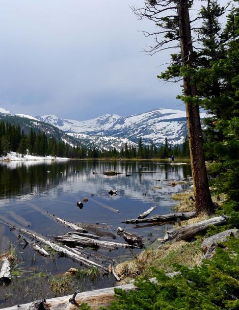 Arapaho & Roosevelt National Forests Pawnee National Grassland - Lost Lake  (#813)