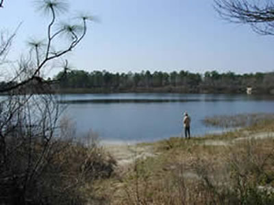 Escape to Serenity: Unwind at Florida's Hidden Gem, Camel Lake Recreation Area