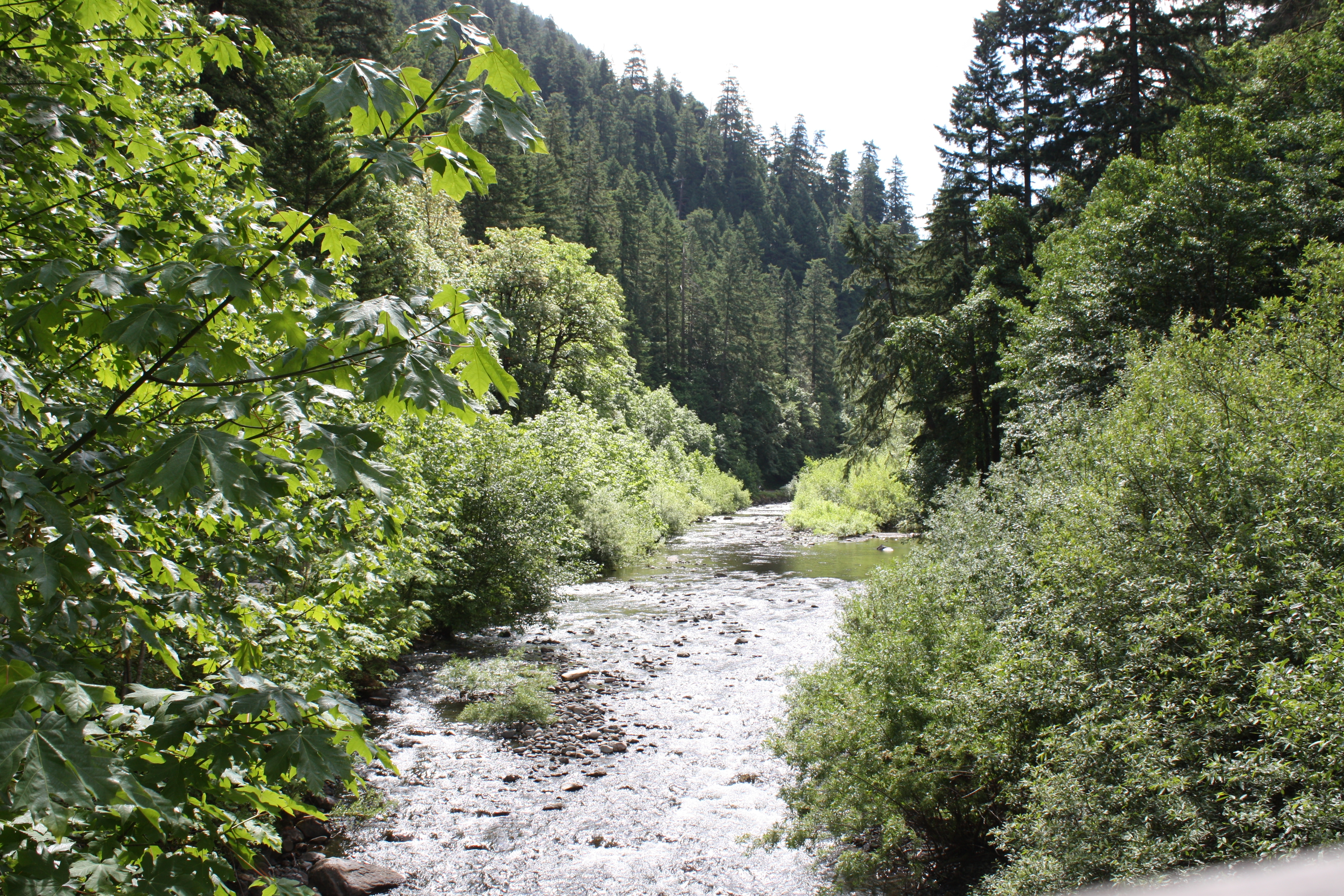 Columbia River Gorge National Scenic Area - Eagle Creek Trailhead