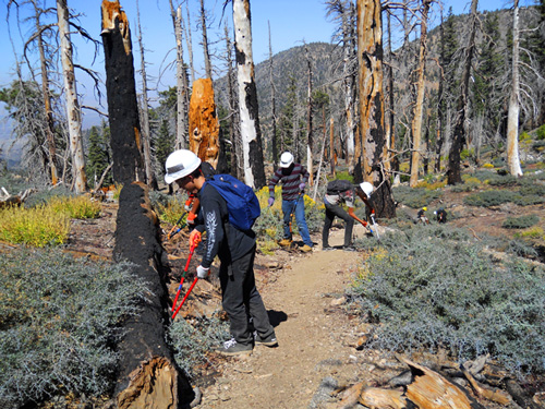 Photo by Anitra Kass. Volunteers from Environmental Charter High School.