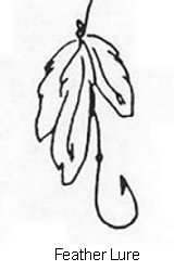 Illustration of a feather lure
