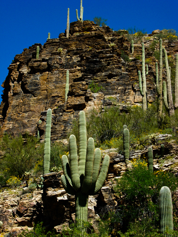 Rattlesnake Canyon Image