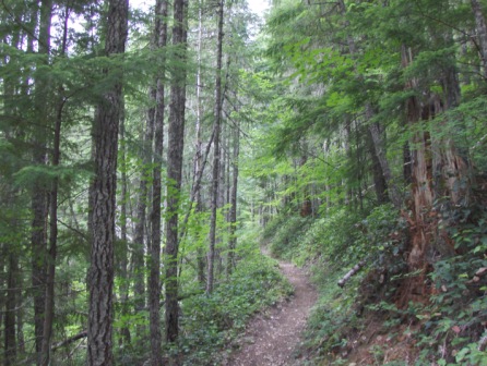 RÃ©sultat de recherche d'images pour "OREGON mount hood paradise park"