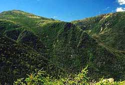 Image of Great Gulf Wilderness
