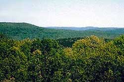 Image of Upper Buffalo Wilderness