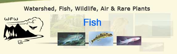 Watershed, Fish, Wildlife, Air & Rare Plants