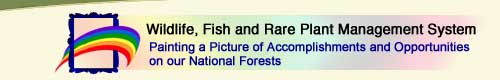 Title-image.  Wildlife, Fish and Rare Plants Management System.  Painting a Picture of Accomplishements and Opportunities on our National Forests.  Illustration of frame with rainbow coming through the frame.
