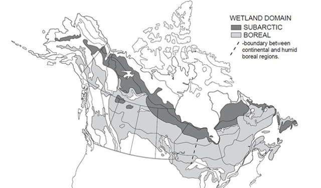 Spring Fens  Kenai Watershed Forum