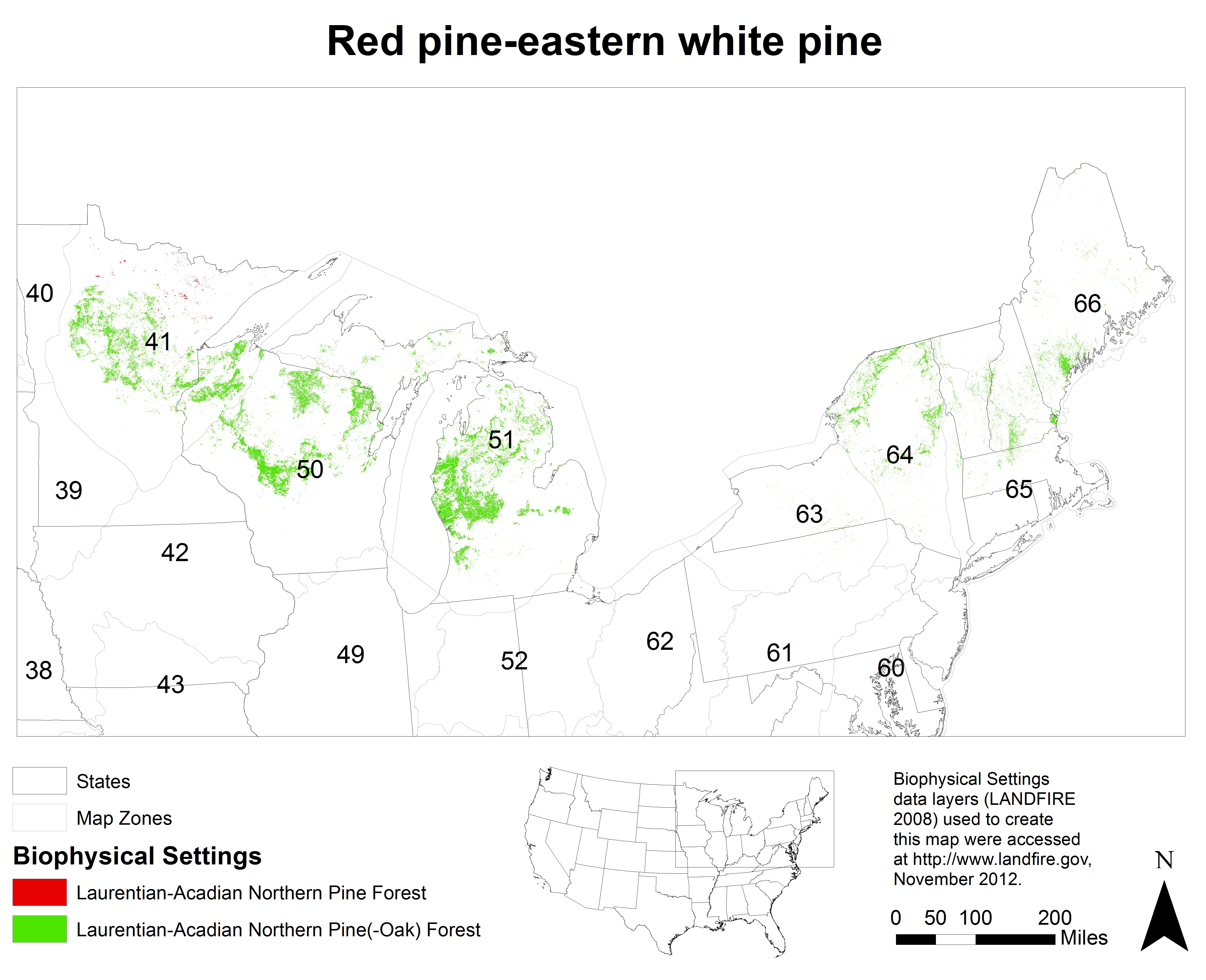 Red pine-eastern white pine