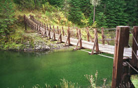 Photo of a Deck Cable with Timber Towers
