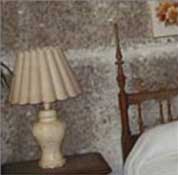 Photo of a bedroom infested with mold.