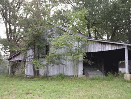 Photo of a structure with trees growing out of the base of the structures foundation.