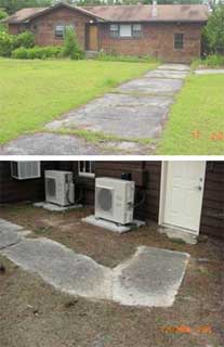 Two photos of old cracked sidewalks with vegetation growing through.
