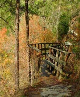 Photo of a warped wooden railing.