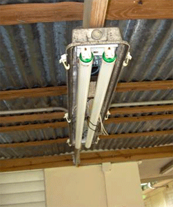 Photo of a fluorescent light fixture.